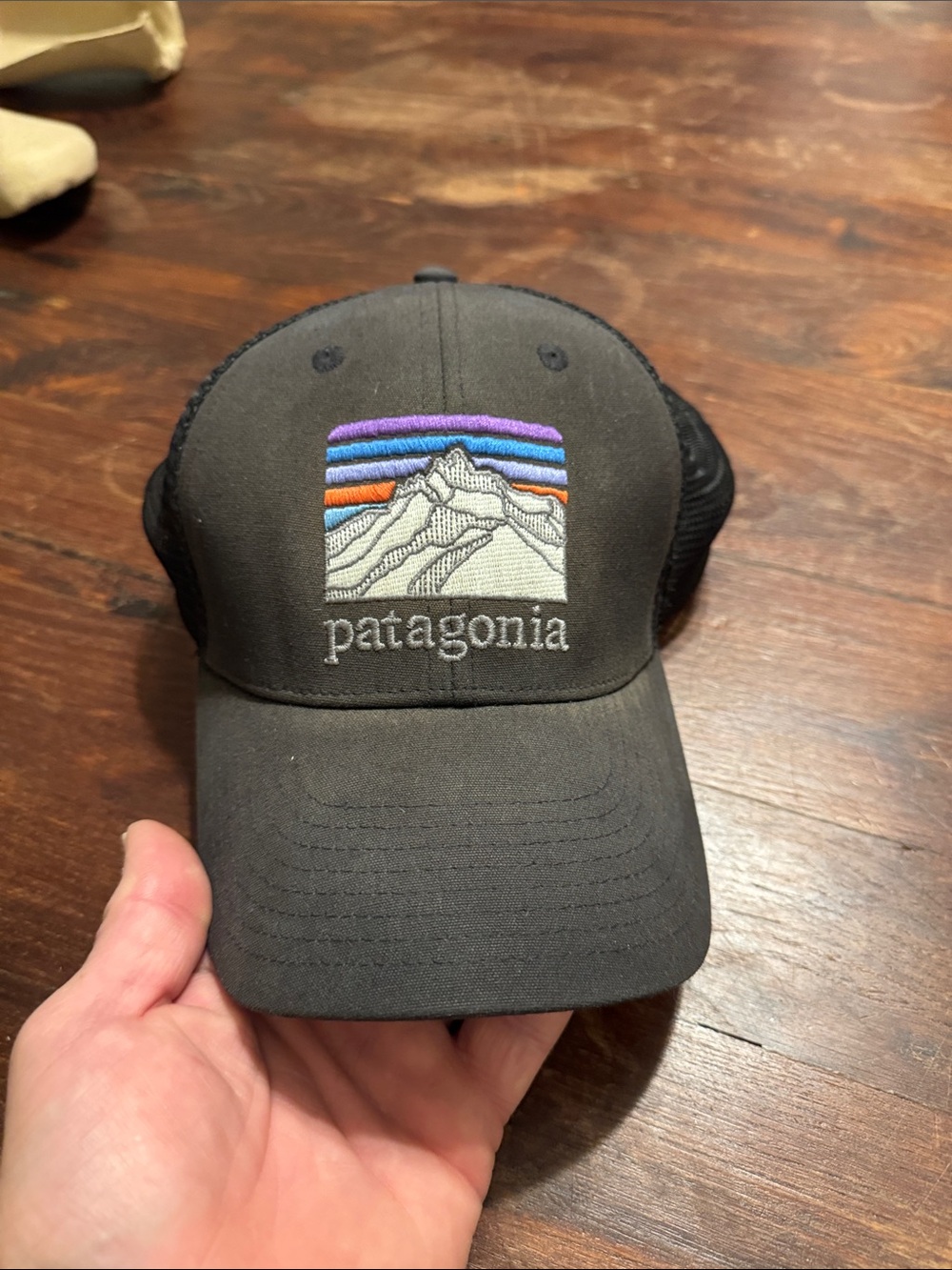 Patagonia Black Mountain Line LoPro Hat